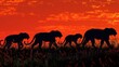 © Viktor - Pride of lions in silhouette against a fiery sunset sky
