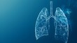 © Pascal - Human lung model with a of disease, A transparent lungs with a blue background, Human lungs concept of healthy lungs