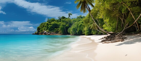 Aufkleber - Tranquil Oasis: Sandy Beach by Lush Green Forest with Turquoise Waters