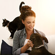 Woman, dog and cat on sofa for animal, pet and together indoor for bonding, affection and friendship. Puppy, lady or owner for laugh and hug with love and scratch for adorable, cute and companion