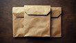 Brown document envelope