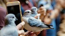 Crowd Of Photographers Capturing Images Of Various Bird Species In A Natural Setting