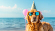 Golden Retriever dog wearing sunglasses and party hat 
 on a blue sea and sky background with copy space