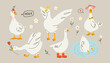Funny goose. Adorable farm birds in different poses, cute characters and flowers. Childish print and poster, kids textile and nursery decor. Stickers set. Vector cartoon flat isolated illustration