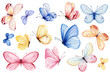 Butterfly clipart isolated watercolor Illustration. Colorful Tropical butterflies for greeting cards, invitation, design