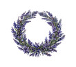 Watercolor of a circular lavender flower wreath