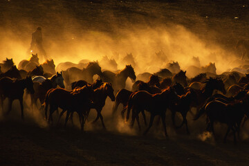 Wall Mural - Cowboy.3