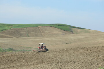 Fototapete - farmers plouging the field in spring