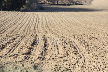 Fototapete - Agricultural field ploughed in spring. Arable land ready for the next cultivation season