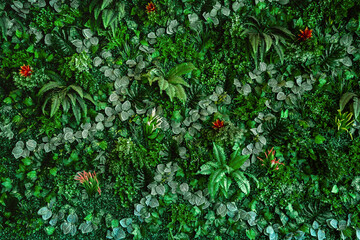 Wall Mural - Collection of green leaves on wall for decoration in a coffee shop. Green nature. plant background