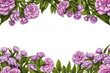 border frame of flowers with blank text space isolated on transparent background 