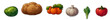 Vegetables: Tomato, Onion, Pepper, Carrot, Cucumber, Pumpkin, Cabbage, Eggplant, Garlic, Broccoli, Potato, Paprika Vector Illustration