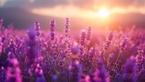 Fototapeta Kwiaty - Sun dipping below horizon behind lavender field, magical, radiant colors, serene mood, AI Generative