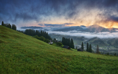 Wall Mural - Foggy morning in the mountains. Summer dawn in the Carpathians. Nature of Ukraine