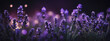 Dreamy lavender bokeh adorning a defocused midnight purple background - an enchanting banner.