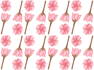 Wall Mural - A seamless pattern of Plumeria Frangipani PNG transparent background in a hand-drawn gradient color spring floral concept, illustration