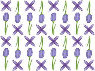 Wall Mural - A seamless pattern of tulip and lilac PNG transparent background in a hand-drawn gradient color spring floral concept, illustration