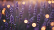 Soft-focus banner with abstract blur bokeh. Rose gold bokeh on a blurred lavender background.