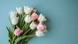 Top view of white and pink tulips on an isolated pastel blue background with copyspace for Mother's Day.
