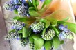 Blaue Hyazinthen in durchsichtiger Folie auf einem Markt. Frühblüher, Zwiebelgewächs. Nahaufnahme.