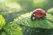 A delightful 3D ladybug on a dew-kissed leaf in the morning light sets the perfect start to the day.