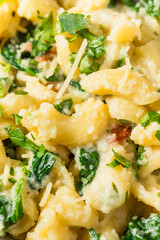 Wall Mural - Healthy Homemade Cavatappi Pasta