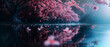 Cherry blossom tree mirroring in a serene calm lake, dark atmosphere, pink flowers. Beautiful natural spring landscape,