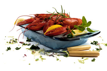 Wall Mural - Lobsters on ice in a blue glass tray with lemons and a lobster cracker on a white background
