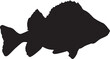 Vector silhouette of a fish