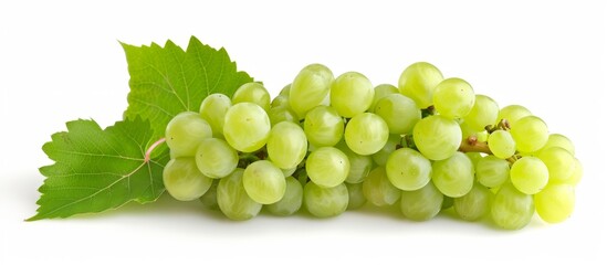 Wall Mural - Bunch of ripe grapes with vibrant green leaves in a vineyard under the sun