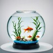 goldfish in a glass on white
