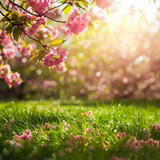 Fototapeta Natura - spring and sun background