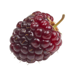 Wall Mural - Boysenberry isolated on white background