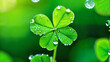 a four leaf clover with water droplets on it, four leaf clover!, wallpaper, green, background full of lucky clovers, glow