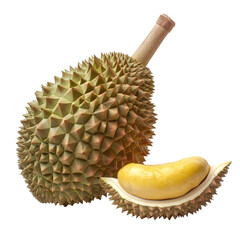 Wall Mural - Durian fresh fruit with white background