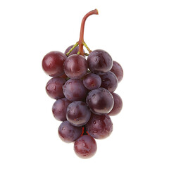 Wall Mural - Fox Grape isolated on white background