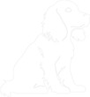© Mappingz - American Water Spaniel outline