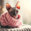 A cozy and cute cute regal sphynx cat wearing a warm knit pink sweater, surrounded by natural light with a simple bokeh background, generative AI