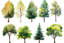 Set Of Watercolor Green Trees Collection Vector Illustration