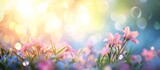 Fototapeta Na drzwi - Beautiful spring flowers wallpapers for refreshing and vibrant backgrounds