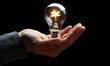 © Miodrag - Hand holding a glowing light bulb against a dark background, symbolizing ideas and innovation.