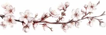 Watercolor Illustration Of A Branch Of A Blossoming Cherry Sakura On A White Background, Spring Flowers
