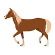 vector illustration of a brown horse. Isolated on a white background. The theme of equestrian sports, animal husbandry, veterinary medicine and agriculture
