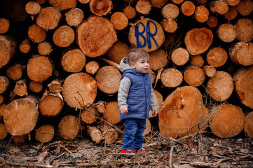 A toddler stands curious and awe-struck amongst a background of freshly cut timber, symbolizing growth and the natural cycle of life