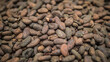 close up of coffee beans