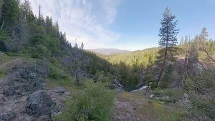 Poster - Yellow Flowers to Alder Creek Falls in Yosemite