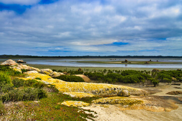 The coast at Millers Landing, Wilsons Promontory National Park, Victoria, Australia, in the evening sun. Granite boulders covered in yellow lichen, mangroves and mudflats.
