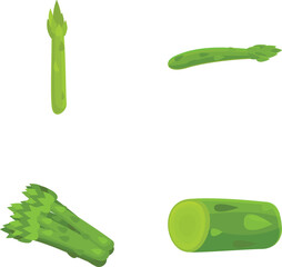 Poster - Celery icons set cartoon vector. Juicy fresh organic celery. Agriculture cultivated plant