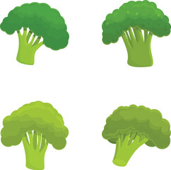 Poster - Broccoli icons set cartoon vector. Fresh green broccoli cabbage on stalk. Healthy nutrition