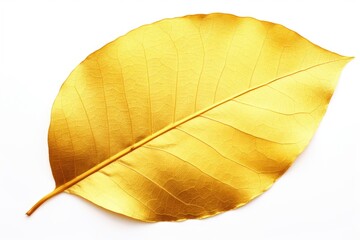 Poster - A beautiful golden leaf resting on a clean white surface. Perfect for nature or minimalistic concepts